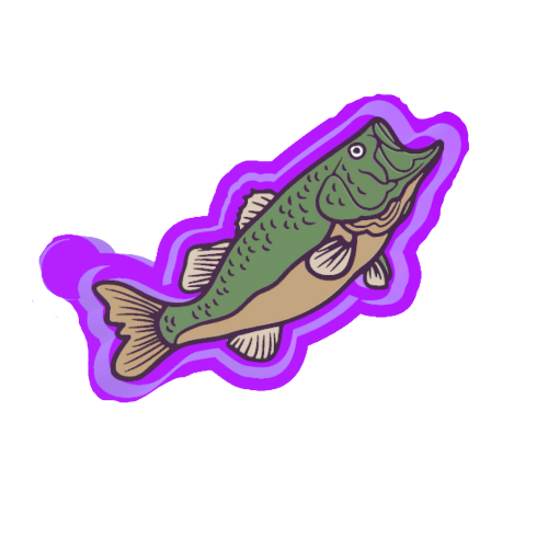 Fish Freshie Mold