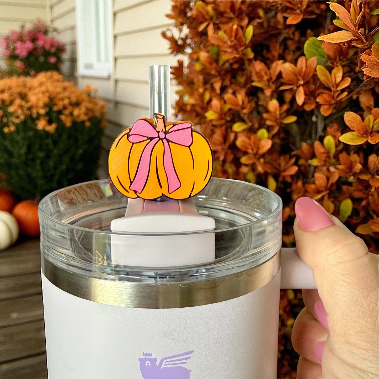 Pumpkin with bow straw topper