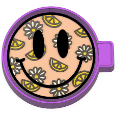 Daisy/Lemon smiley Freshie mold
