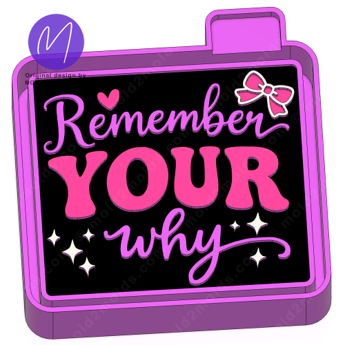 Remember the why Freshie Mold