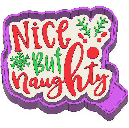 Nice but Naughty freshie mold