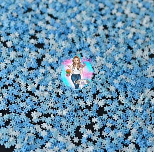 Winter Snowflakes Freshie Shaker Filler