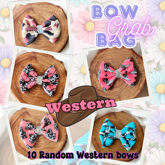 Western Freshie Bow grab bag