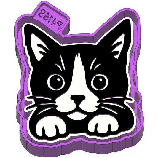 Cat Freshie Mold