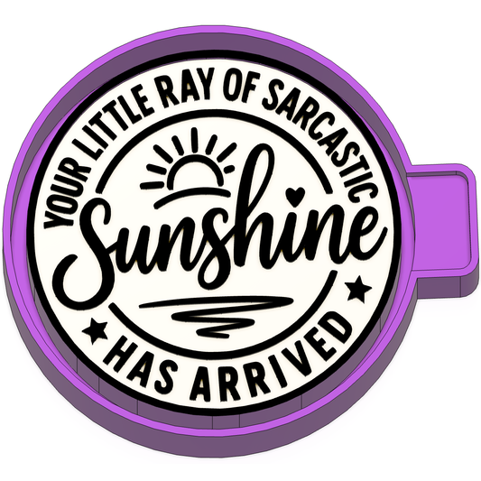 Ray of Sarcastic sunshine Freshie Mold